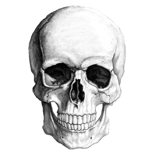 bonk Discord Emoji