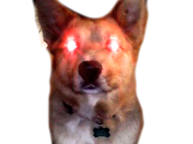bonk Discord Emoji