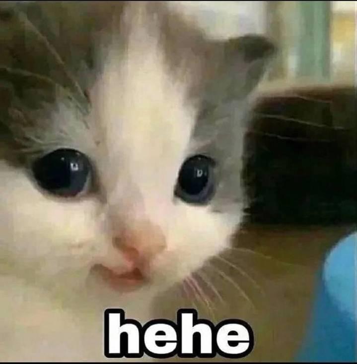 bonk Discord Emoji