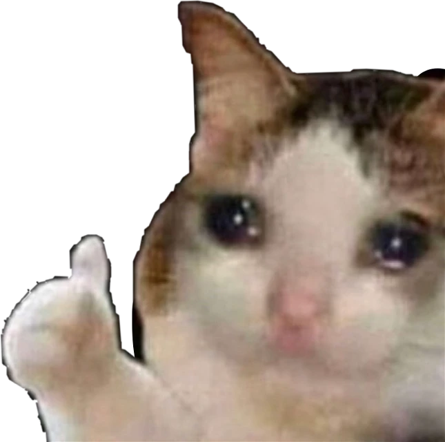 bonk Discord Emoji