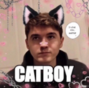 Catboy Discord Emojis | Discord Emotes List