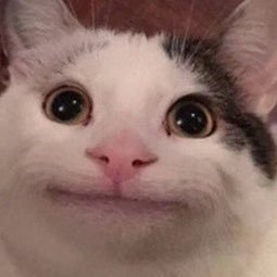 bonk Discord Emoji