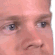 bonk Discord Emoji