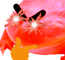 bonk Discord Emoji