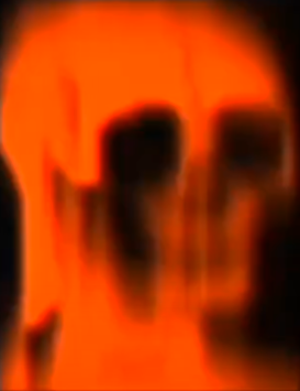 bonk Discord Emoji