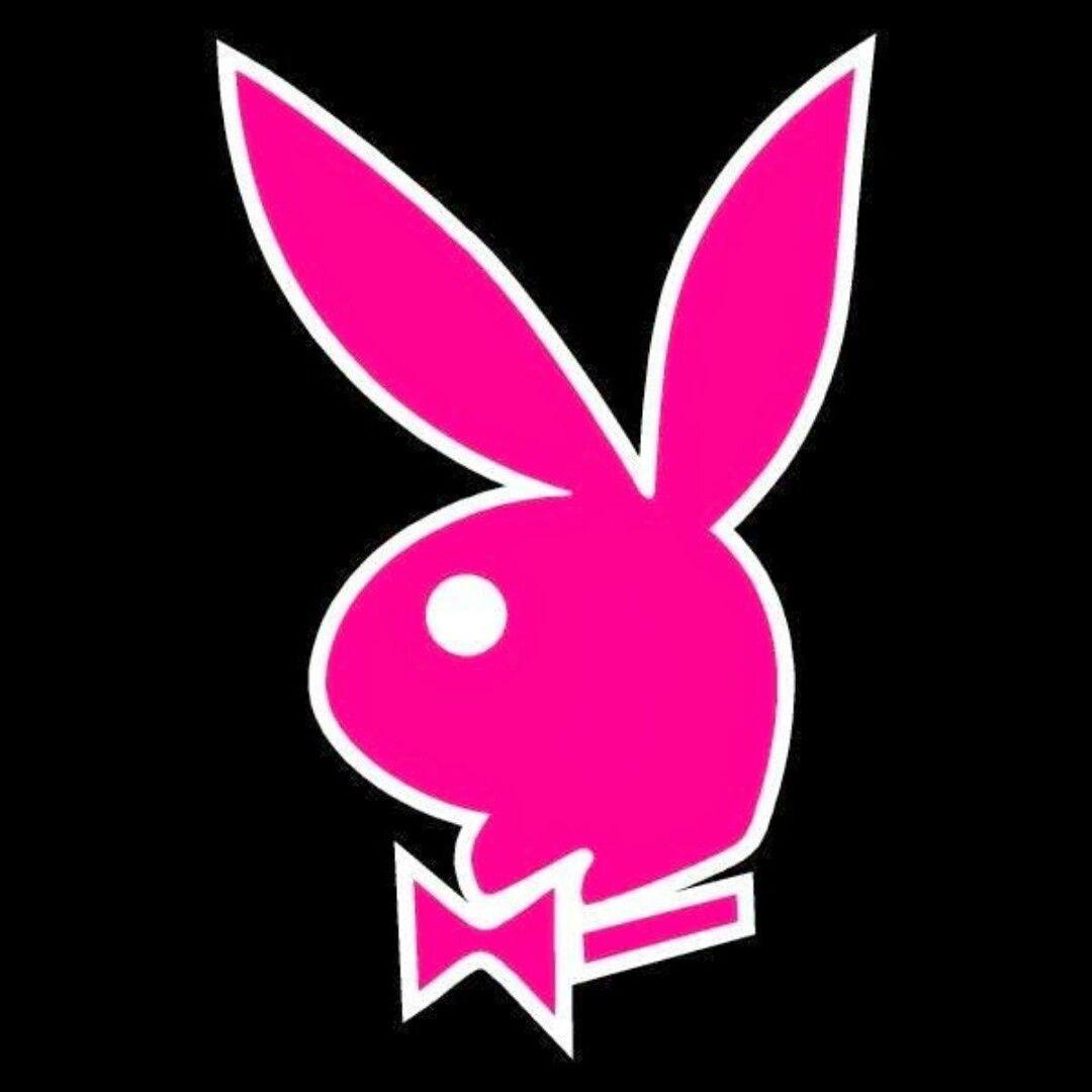 все значки tiny bunny steam фото 44