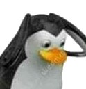 penguin sticker meme