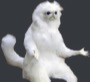 bonk Discord Emoji