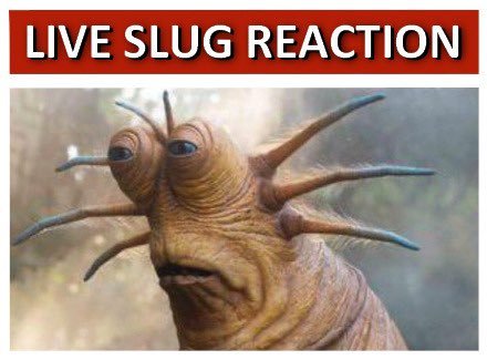 live slug reaction