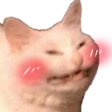 bonk Discord Emoji