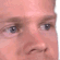 bonk Discord Emoji