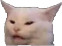 bonk Discord Emoji