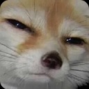 bonk Discord Emoji