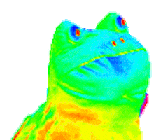 bonk Discord Emoji