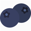 transparent blueberry icon png