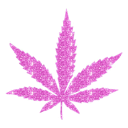 transparent pink weed leaf