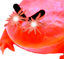 bonk Discord Emoji