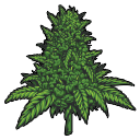 Stoner Discord Emojis | Discord Emotes List