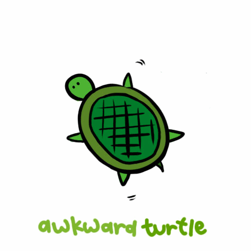 awkward turtle meme