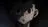 gon angry